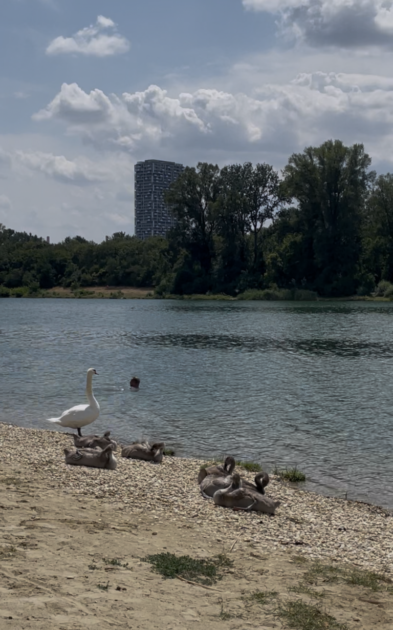 IMG_7200